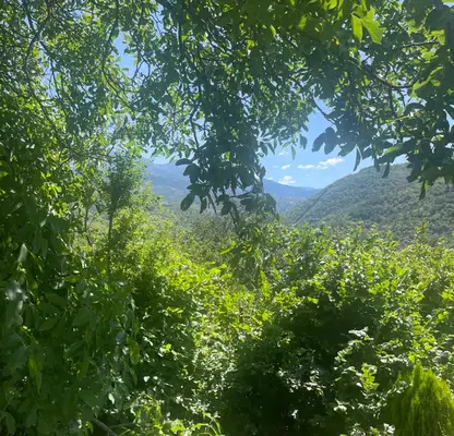 Photo 2 — House with 3 rooms and yard in Rila, Kyustendil region