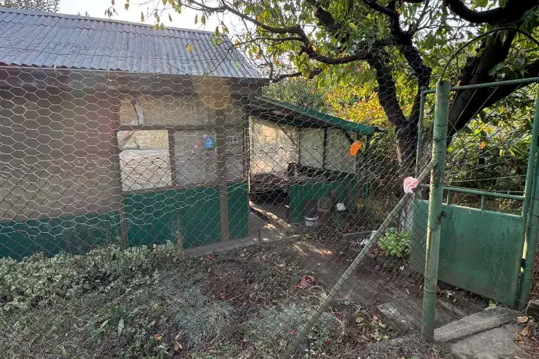 House in Ruse, Dolapite