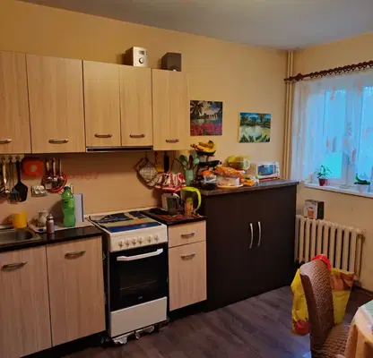 Photo 4 — Two-storey house with large yard in Aldomirovtsi village, Sofia region