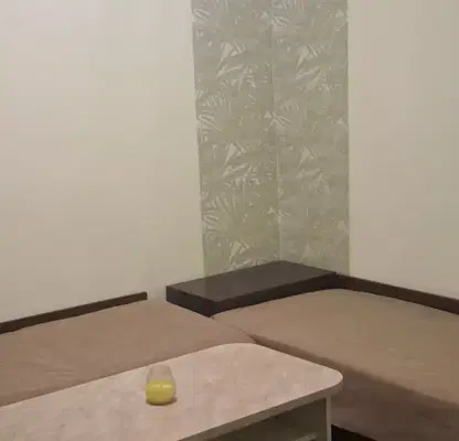 Photo 4 — House with 3 bedrooms in Arnautito village, Stara Zagora region