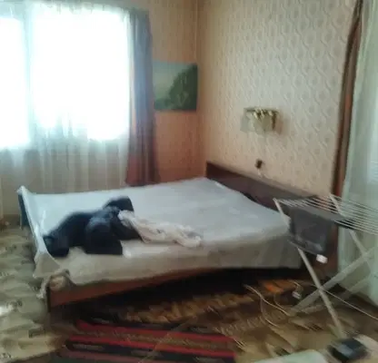 Снимка 2 — Къща с двор 900 кв.м. в с. Баница, област Враца