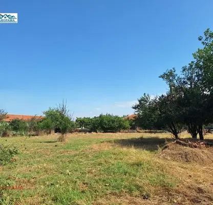 Photo 3 — Solid house with yard in Tsarimir village, Plovdiv region