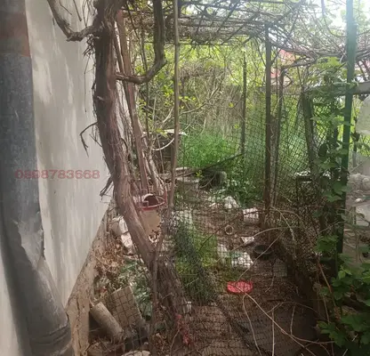 Photo 4 — House in Chepinci