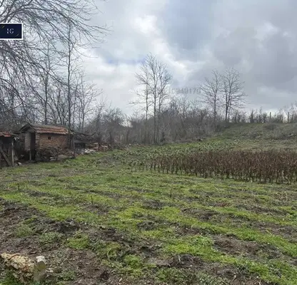 Photo 2 — One-story house with large yard in Debelt village, Burgas region