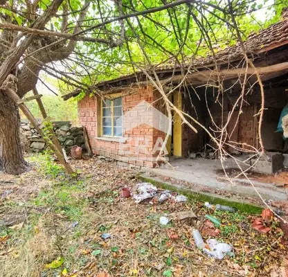 Photo 5 — One-story house with large yard in Dinevo village, Haskovo region