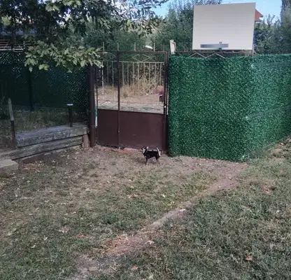 Photo 5 — House in Kyustendil, Dyakovo