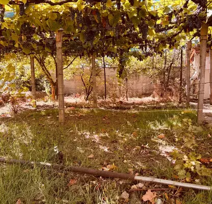 Photo 5 — House 60 sq m in Getsovo village with yard and parking