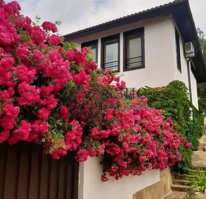 Photo 4 — Two-storey house with 3 rooms in Goritsa village, Burgas region
