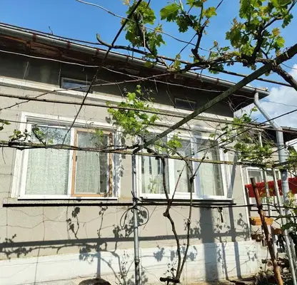 Photo 2 — House in Dobrich, Gurkovo