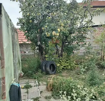 Photo 5 — House in Stara Zagora, Hrishteni