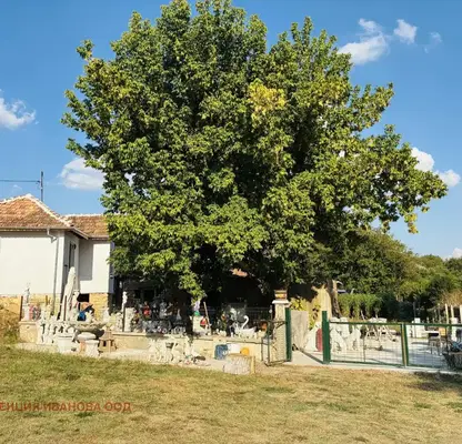 Photo 4 — House with 3 rooms and yard in Kamen village, Veliko Tarnovo region