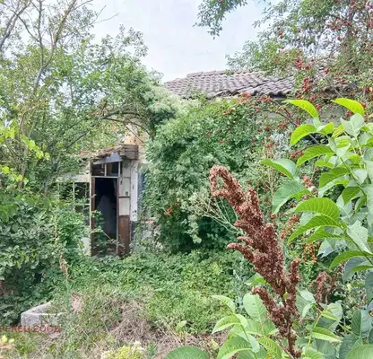 Photo 3 — House in Dobrich, Lozenec