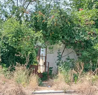 Photo 4 — House in Dobrich, Lozenec