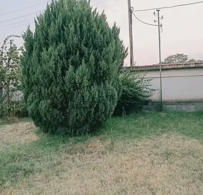 Photo 4 — One-storey house with 3 rooms in Malo Konare village, Pazardzhik region