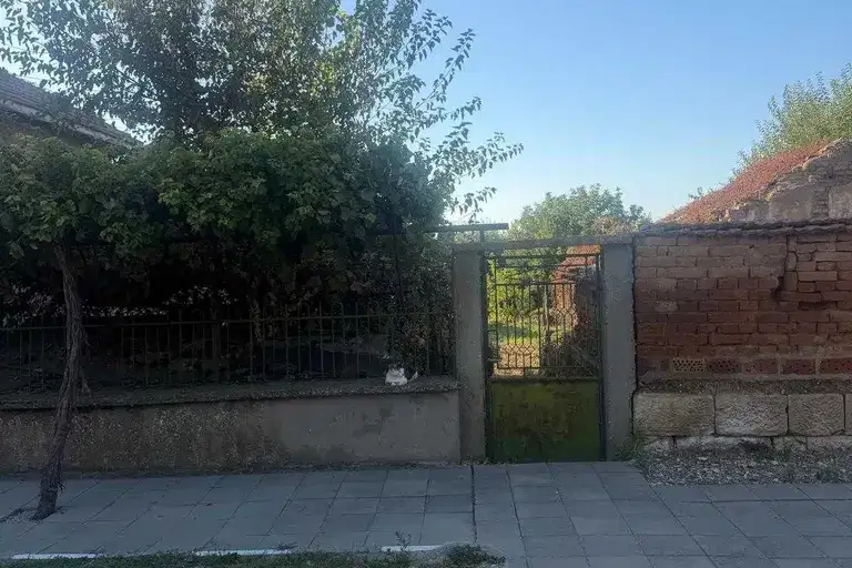 House in Pleven, Milkovica