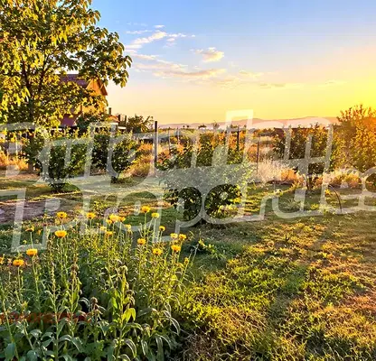 Снимка 4 — Двуетажна къща с двор в с. Момино село, област Пловдив