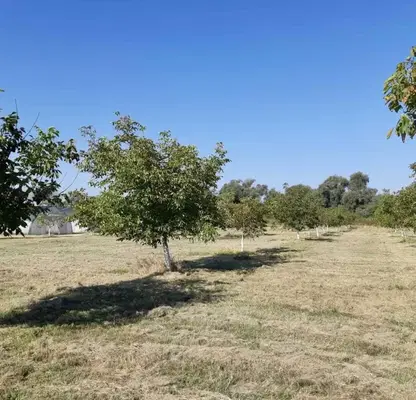 Photo 2 — House in Mramor