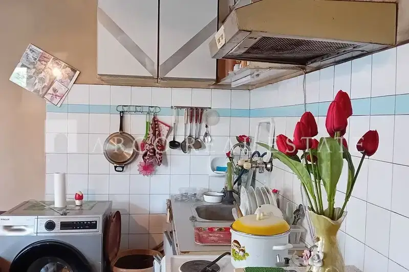 House in Sofia, Opicvet