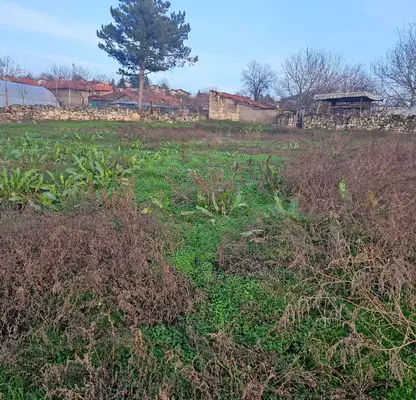Снимка 2 — Двуетажна къща с голям парцел в с. Писанец, област Русе