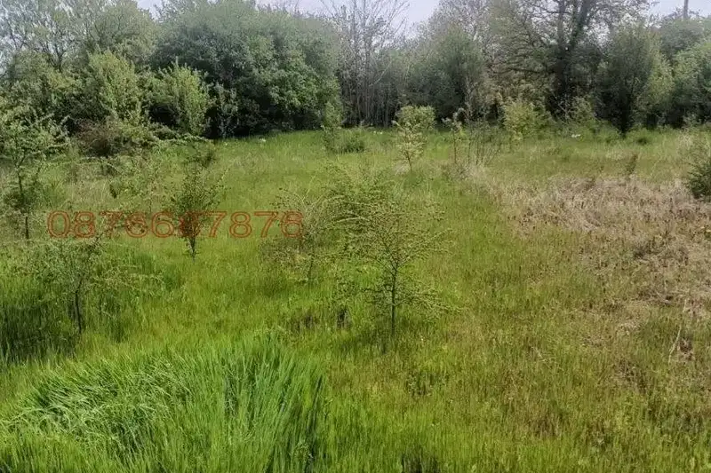 Къща 2-стаен в с. Пожарево с голям двор