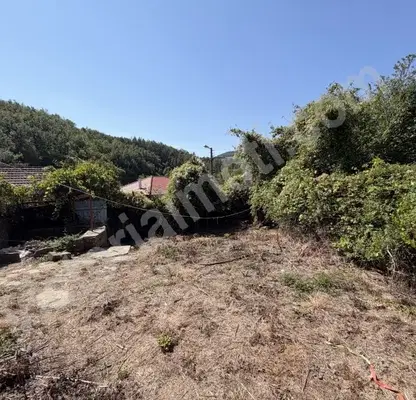 Photo 3 — House in Veliko Tyrnovo, s. Parovtsi