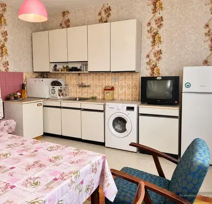 Photo 4 — House with 1 bedroom and yard in Ravno Pole village, Sofia region