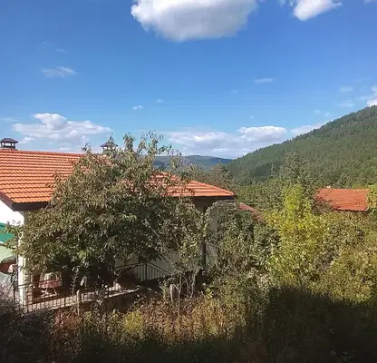 Снимка 3 — Масивна къща с двор в с. Рударци, област Перник