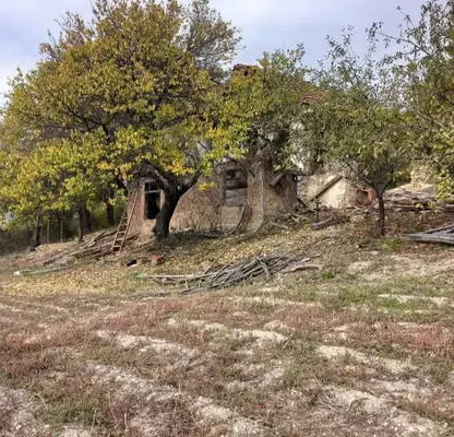 Снимка 4 — Къща 2-стаен в с. Шипочано с парцел 969 кв.м.