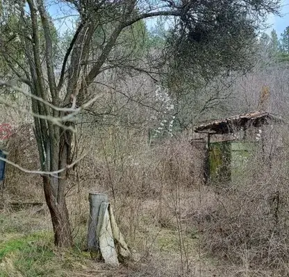 Photo 5 — House with 2 rooms in Sirishtnik village, Pernik region