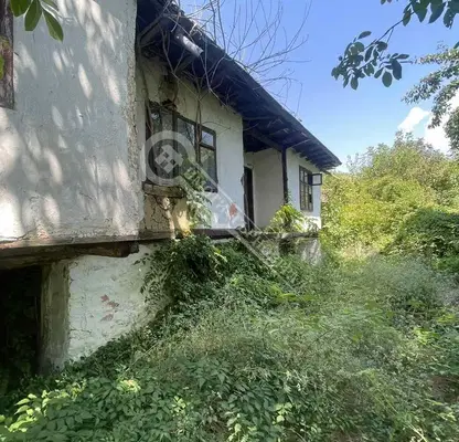 Photo 3 — House with three buildings and large yard in Stambolovo village, Veliko Tarnovo region