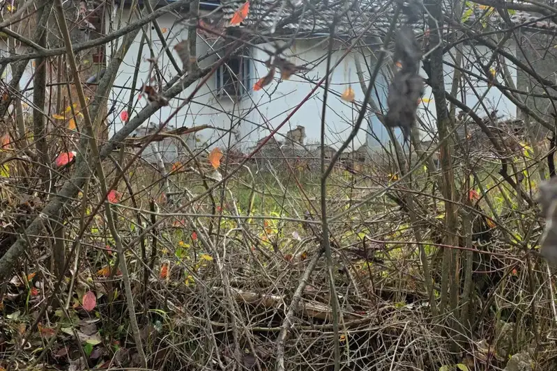 House with 1 room in S. Svidnya, Sofia region, with yard