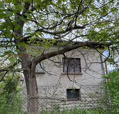Снимка 5 — Къща във Видин, с. Търговище