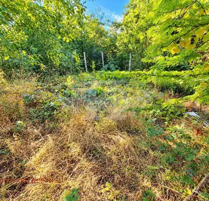 Photo 4 — House with 2200 sq m yard in Vladimirovo village, Dobrich region