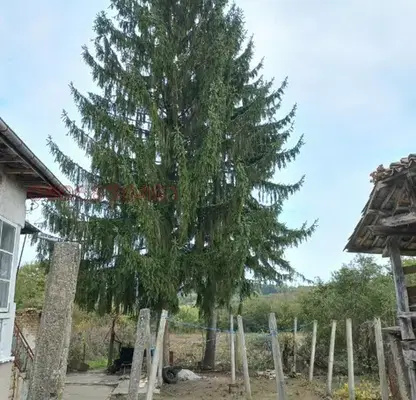 Photo 4 — House with 2 bedrooms in Voditsa village, Targovishte region with yard