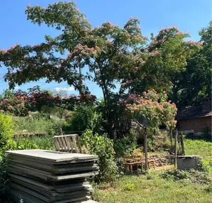 Photo 2 — 3-room house in s. Varbitsa, Pleven region, for renovation