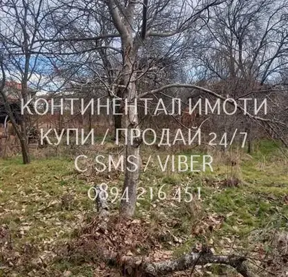 Снимка 2 — Двуетажна къща с 4 стаи в с. Златосел, област Пловдив