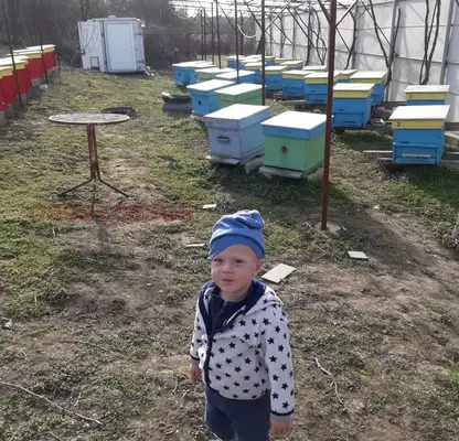 Снимка 2 — Къща 70 кв.м. в Тутракан с паркинг и видеонаблюдение