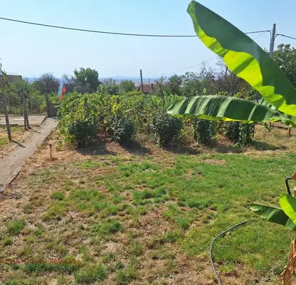 Photo 3 — House in Yambol, Promishlena Zona
