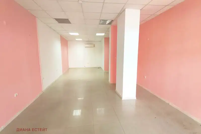Офис във Видин, Баба Тонка