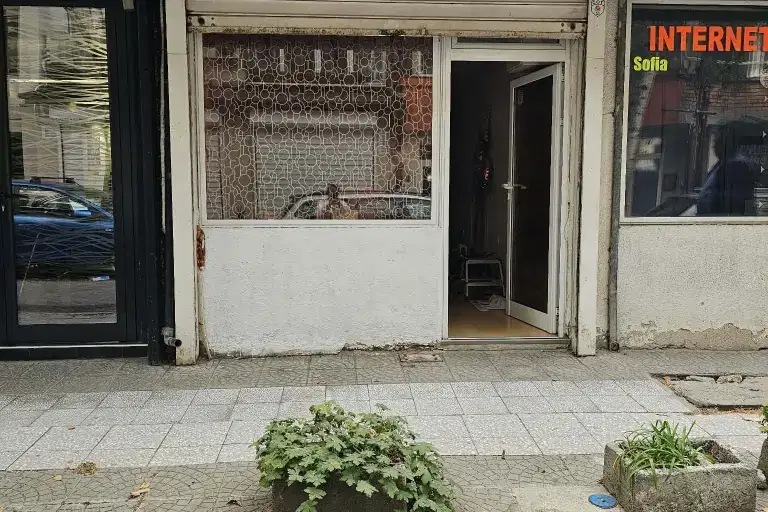 Магазин в София, Белите брези
