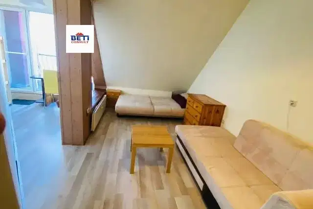 Room in Sofia, Centyr