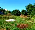 Снимка 3 — Парцел във Варна, Бяла