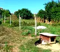 Снимка 4 — Парцел във Варна, Бяла
