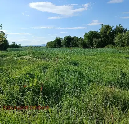 Photo 5 — Plot in област София, Elin Pelin
