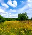 Парцел в Перник, Калкас