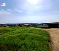 Снимка 4 — Парцел във Велико Търново, с. Драгижево