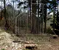 Снимка 2 — Парцел в Пловдив, с. Гълъбово