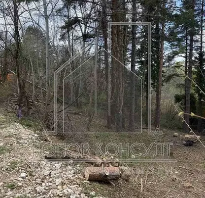 Photo 2 — Plot in Plovdiv, Gylybovo