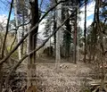 Снимка 3 — Парцел в Пловдив, с. Гълъбово