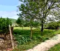 Снимка 5 — Парцел във Варна, с. Кичево